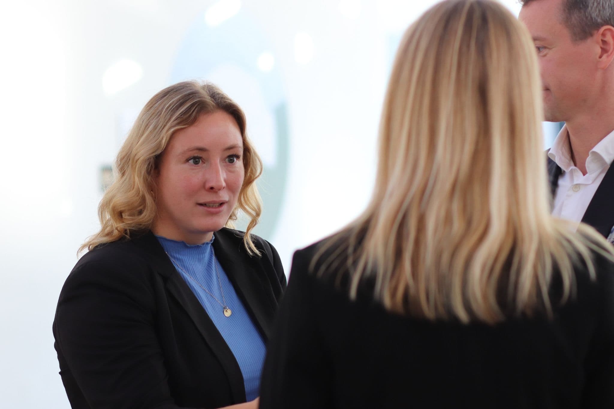 Revisor drøfter skattesag med kunde